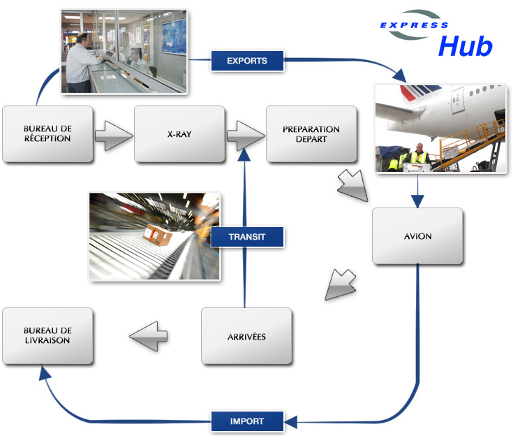 schema